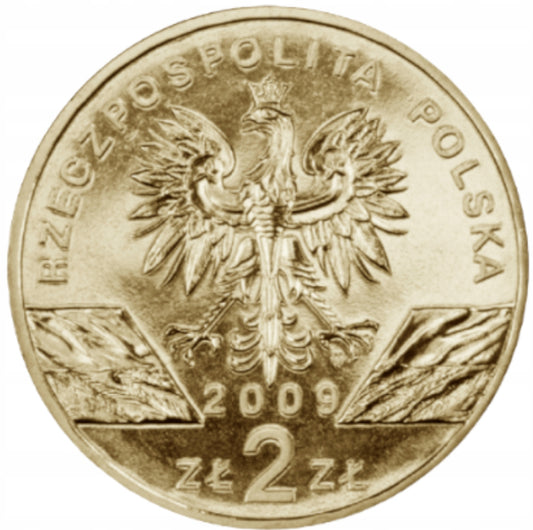 2 ZŁ  Jaszczurka zielona 2009