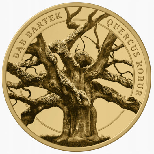 3 DENARY – Skarby Natury: Dąb Bartek